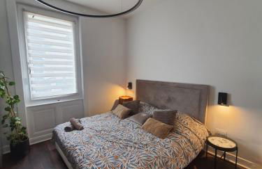 Hôte Stéphanois Studio & parking - Foto 13