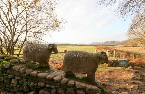 Badgers Sett - Foto 52