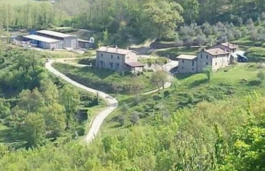 Le Chianine dei Tognoli - Foto 17