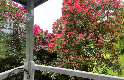 Treeside woodhouse - Foto 25