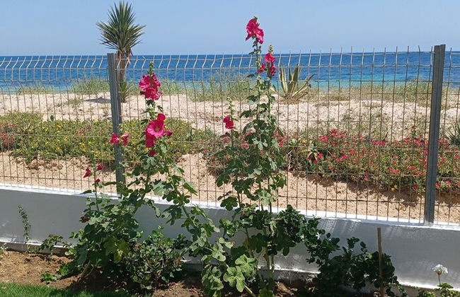 Beach Front Luxury Living Apartment - Foto 29