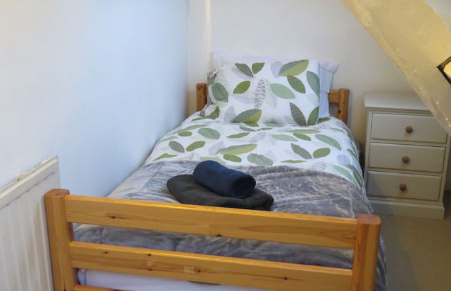 Frog Palace - Photo 4