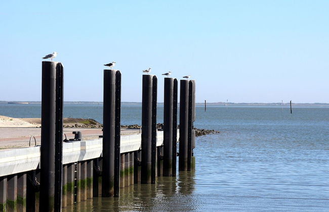 Ferienhaus Toms Hutte mit Terrasse in Dornum - Photo 20