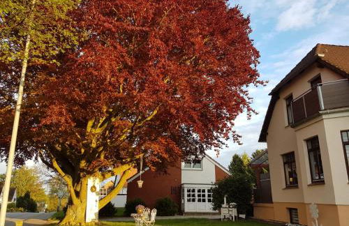Ostsee Ferienwohnung Pelzerhaken - Foto 39