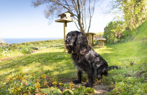 Spectacular Sea View Retreat - Foto 21