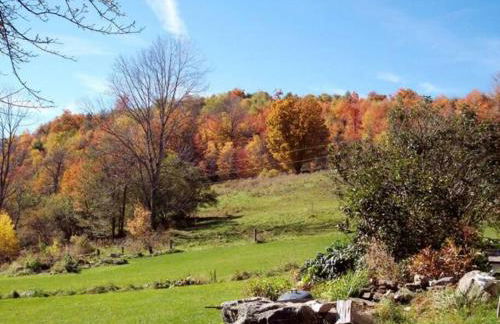 The Apartment at Sky Hollow - Foto 23