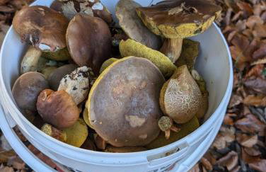 Apartamenty Klangor - Foto 7