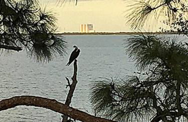 Florida Space Coast Waterfront Retreat - Foto 59