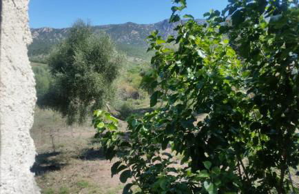 Le Moulin de l'Ostriconi - Foto 53