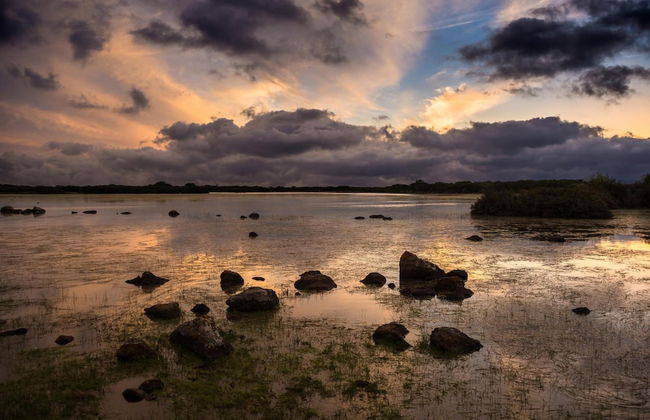 Agriturismo Cuaddus e Tellas - Foto 35
