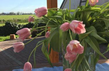 Ferienhaus Norddeichkieker -Nähe Büsum - Foto 39