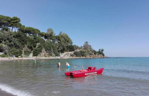 Villa Begonia Cefalu - Foto 11