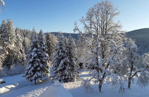 Haus Heimrich - Photo 26