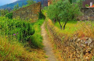 Cozy house with mountain view in Miranda do Corvo - Foto 24