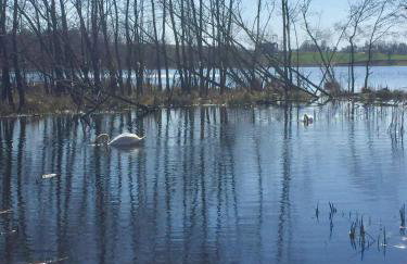 Kaschubische-Schweiz-Oase-der-Entspannung - Foto 31