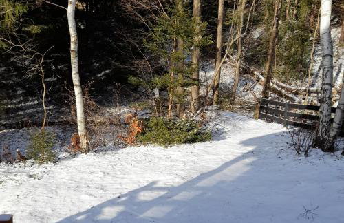 Borówkowa Dolina - Foto 22