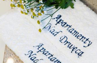 Apartamenty Nad Drwęcą - Foto 27