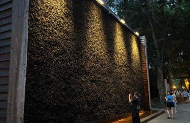 Wiśniowy Sad - Foto 67