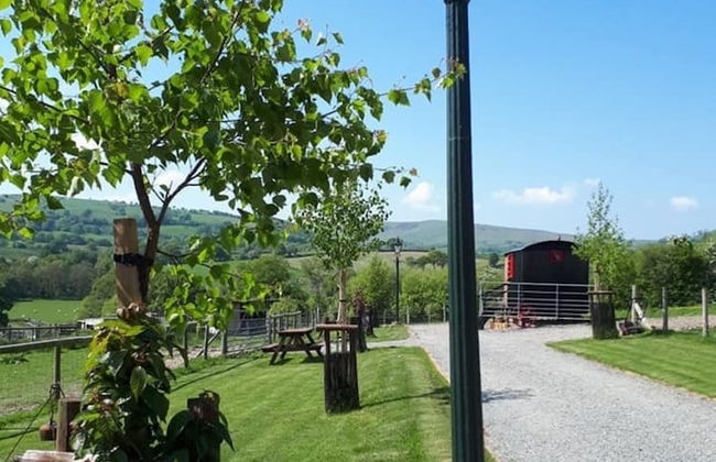 Ruby Shepherds hut Sleeps 4 - Photo 17