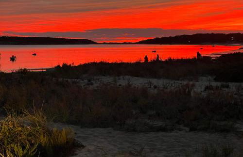 Serene Gardens 2 Miles to Beaches - Foto 41