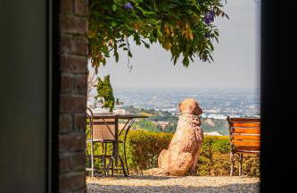 Rocchetta Cionini - a Castle overlooking the Motor Valley - Photo 9