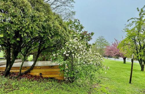 Purple Parrot - Foto 29