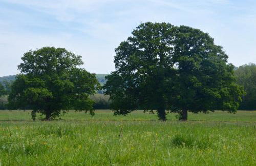 The Hideaway-South Downs National Park - Foto 20