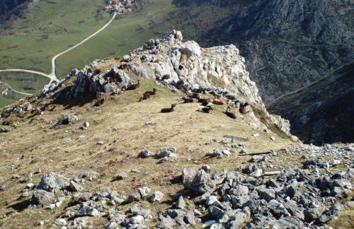 VIVIENDAS DE USO TURÍSTICO La Arboleda I y II - Foto 56