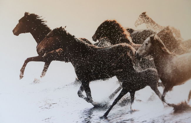 La Playa in Torremolinos - Foto 20