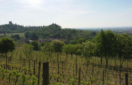 Agriturismo La Torretta da Valentina - Foto 46