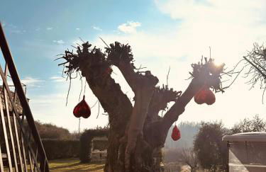 Holiday Home Sovenigo - Foto 50