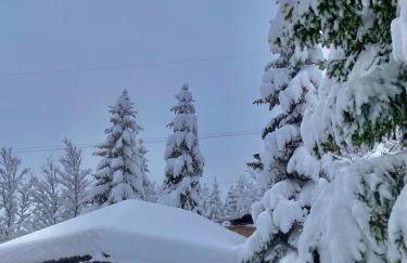 Mountain house Beauty of Laz - Foto 4