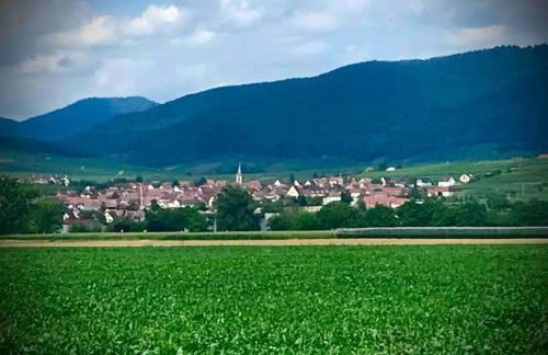 Gite Les Vendanges à Beblenheim Parking privé - Foto 22