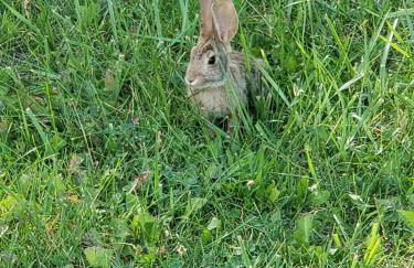 Grizzly Roadhouse Bed and Breakfast - Foto 41