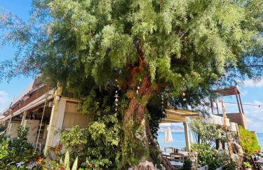 Makrigialos Long Beach Villa 5 - Foto 54