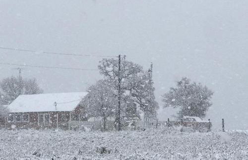 Stay on a 350-acre Cattle Ranch! Brazos River! Tubing! Petting zoo! - Foto 49