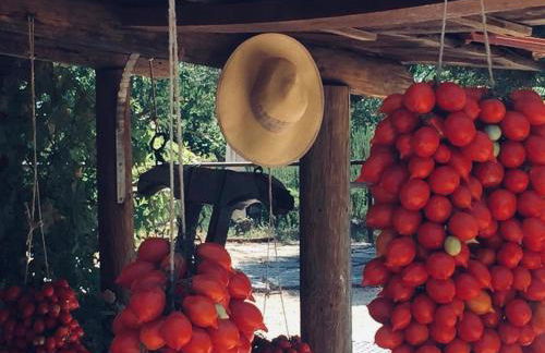 Domus Agricolae Corallina - Foto 21