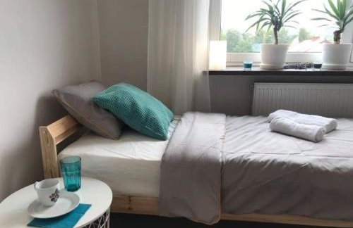 Zielony Domek - Foto 16