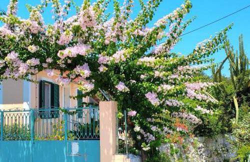 Sweet home of Kefalonia - Foto 13