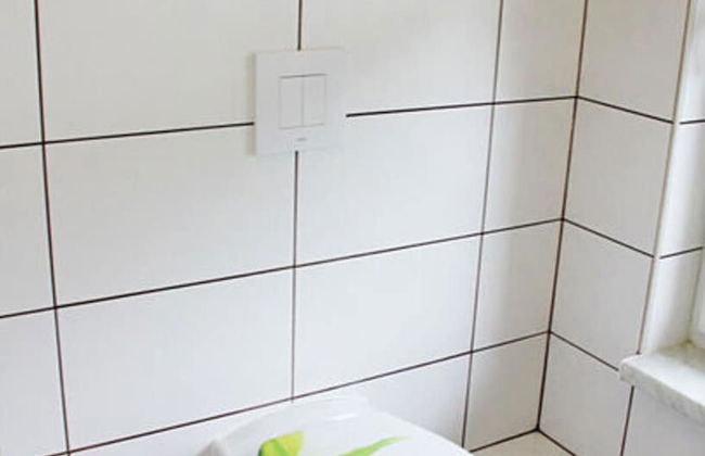 Pear - On the Fruit Tree - Foto 7