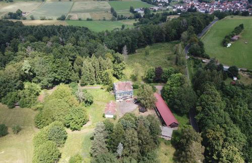 Schellnhof Forsthaus am Waldrand - Foto 6