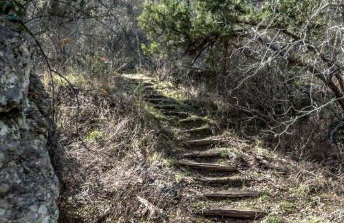 Lovely Cottage Retreat in Texas Hill Country with Cypress Creek Views near Hamilton Pool - Foto 32