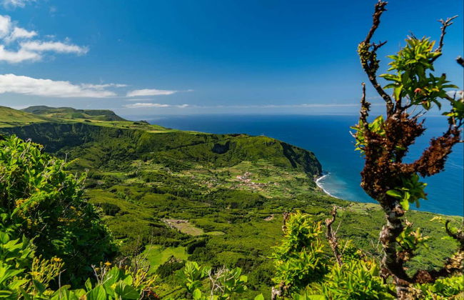 Tour delle lagune dell'isola Flores e Lajes - Foto 2