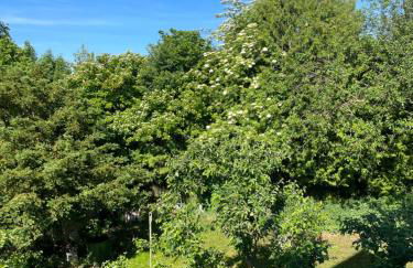 Your Home Base - Vacation & Work close to Munich - Foto 15