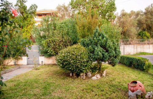 Messini Agrilia Residence - Foto 27