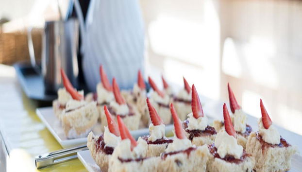 Crucero turístico matutino por el río Brisbane - Foto 2