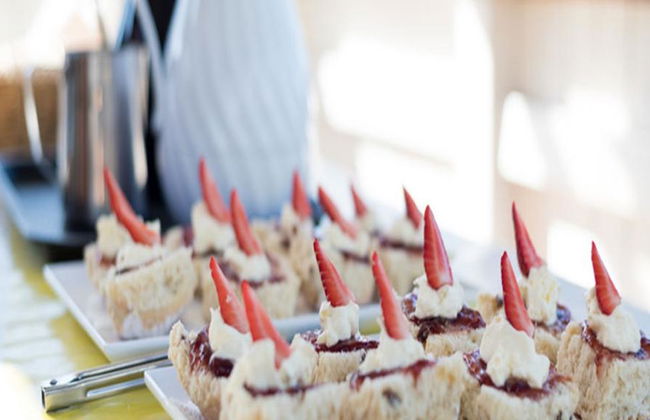 Crucero turístico matutino por el río Brisbane - Foto 2