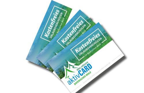 Schmuckstück Ferienapartments Bodenmais - Foto 49