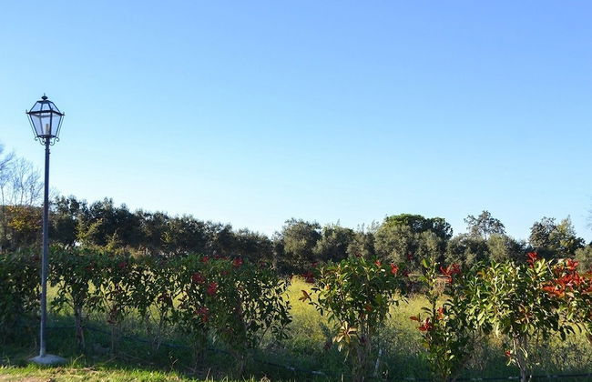 Ars Naturae Biologic Farm - Foto 66