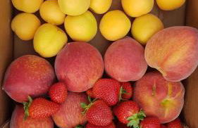 Il Praedio Della Reale - Foto 23